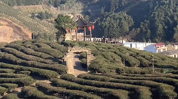 武夷山风景名胜区-御茶园