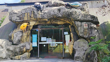 华希昆虫博物馆