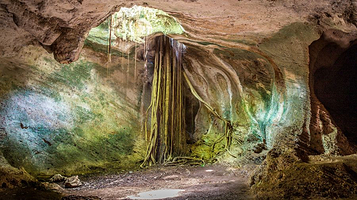 安布罗西澳洞穴