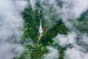 云南哀牢山国家级自然保护区