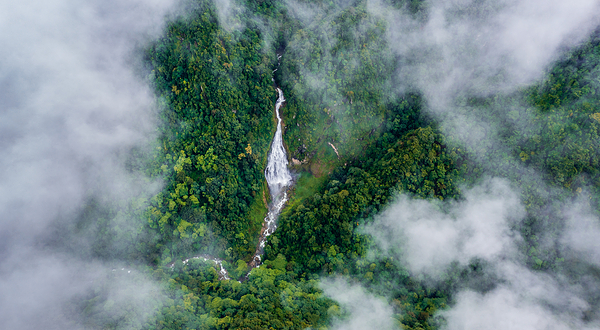云南哀牢山国家级自然保护区