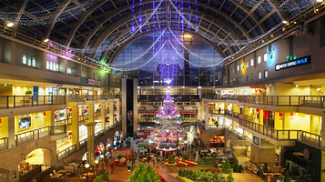 札幌工厂巨大圣诞树