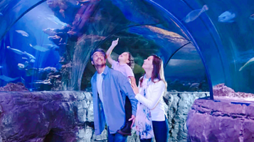 新泽西海洋生物水族馆