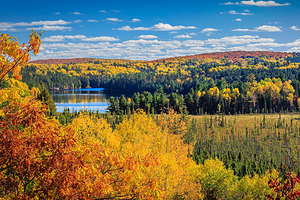 阿尔冈金省立公园