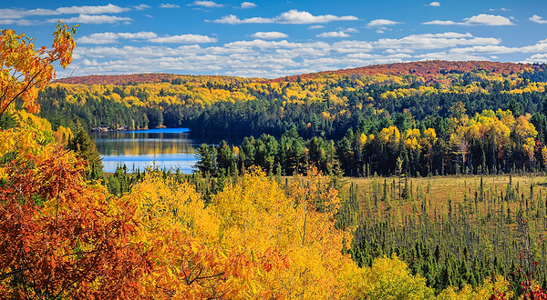 阿尔冈金省立公园