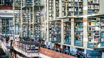 巴斯孔塞洛斯图书馆