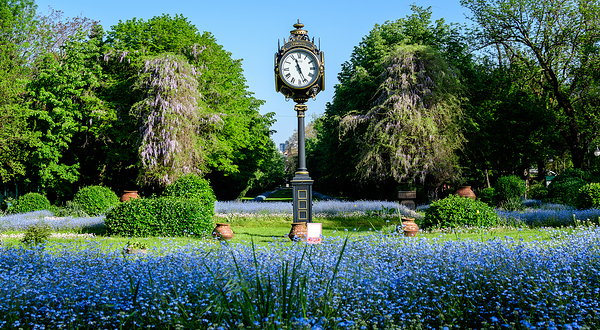 西斯米吉乌花园