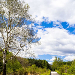 伊春兴安国家森林公园