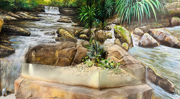 米果动物城(大信·新都汇B座店)