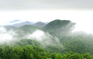 老山国家森林公园