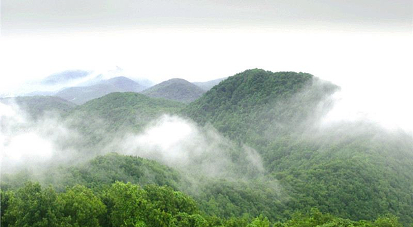 老山国家森林公园