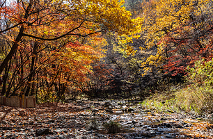 关门山国家森林公园