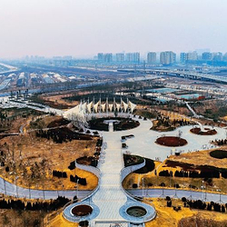 东营·森林乐园