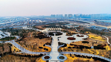 东营·森林乐园