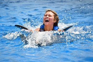 Marineland Dolphin Adventure