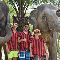 普吉岛奈迪大象保护营