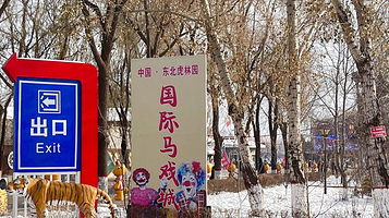 黑龙江虎林园国际马戏城