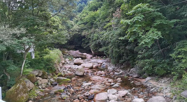 小陇山国家森林公园桃花沟景区