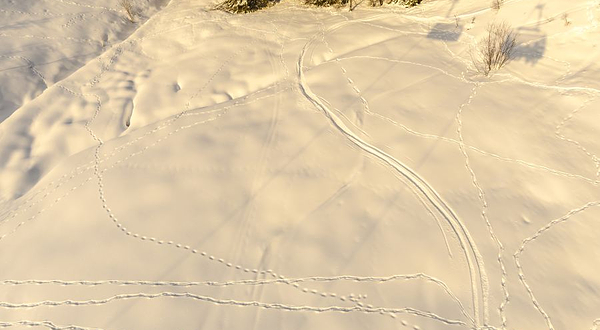 东岭滑雪场