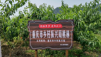 花语果乡采摘园