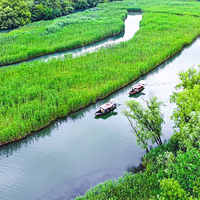西溪国家湿地公园
