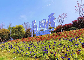 花田厝鲜花艺术小镇