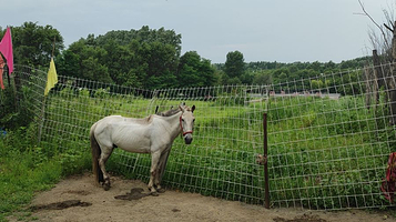 沈阳牡丹园棋盘山马术俱乐部