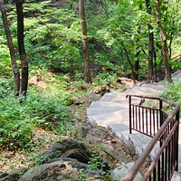 九龙山国家森林公园