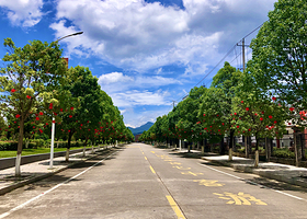 宁都小布镇景区
