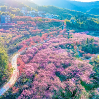 燕子岩风景区