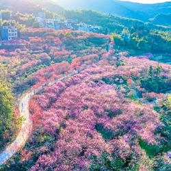 燕子岩风景区