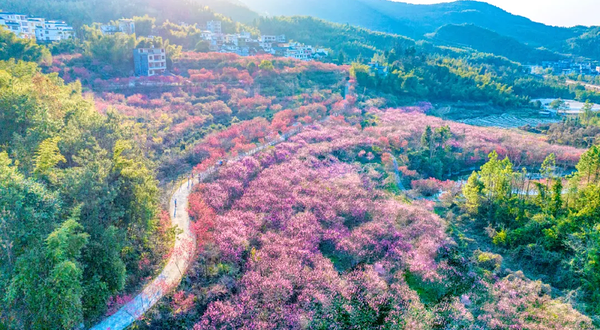 燕子岩风景区