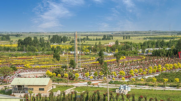 玫瑰小镇生态旅游观光园