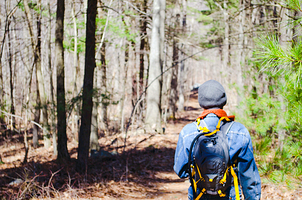 蓝山自然保护区