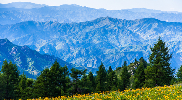 驼梁风景区