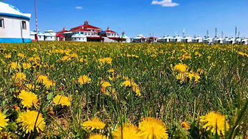 99泉草原度假村(辉腾锡勒草原)