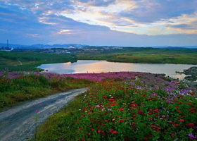 马龙云山湖花海景区