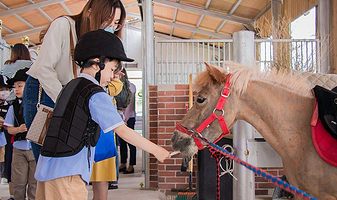 世骑家马术（苏城外校区）