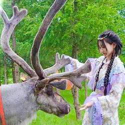 乌兰布统达瓦鄂温克驯鹿部落