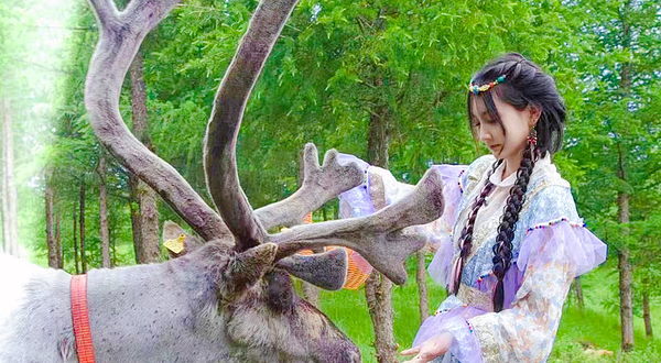 乌兰布统达瓦鄂温克驯鹿部落