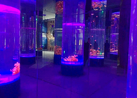 镜湖湿地海洋世界