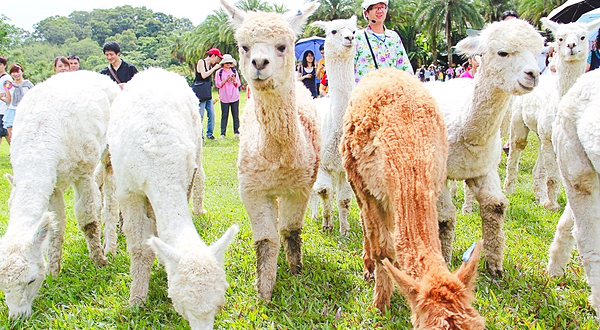 绿世界生态农场