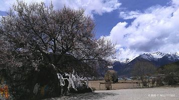 南迦巴瓦峰观景台