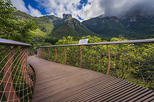 康斯坦博西植物园