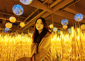 毕加索梦幻光影艺术馆