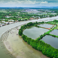 西湖城市湿地公园