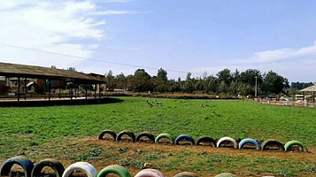 南和嘉年华主题乐园