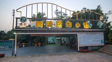 鹏鹄蘑菇小镇