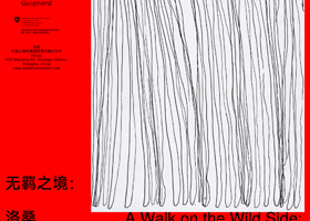 《无羁之境：洛桑原生艺术收藏与他方视界》上海当代艺术博物馆特展