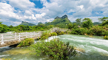 德天老木棉景区